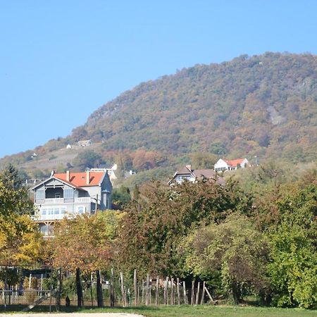 Steiner Villa Badacsony Badacsonytomaj Bagian luar foto