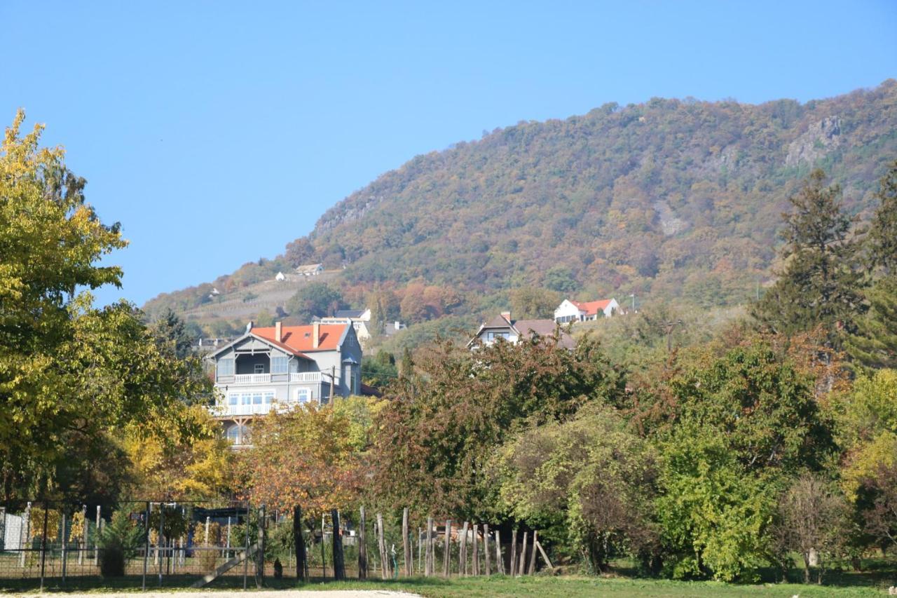 Steiner Villa Badacsony Badacsonytomaj Bagian luar foto