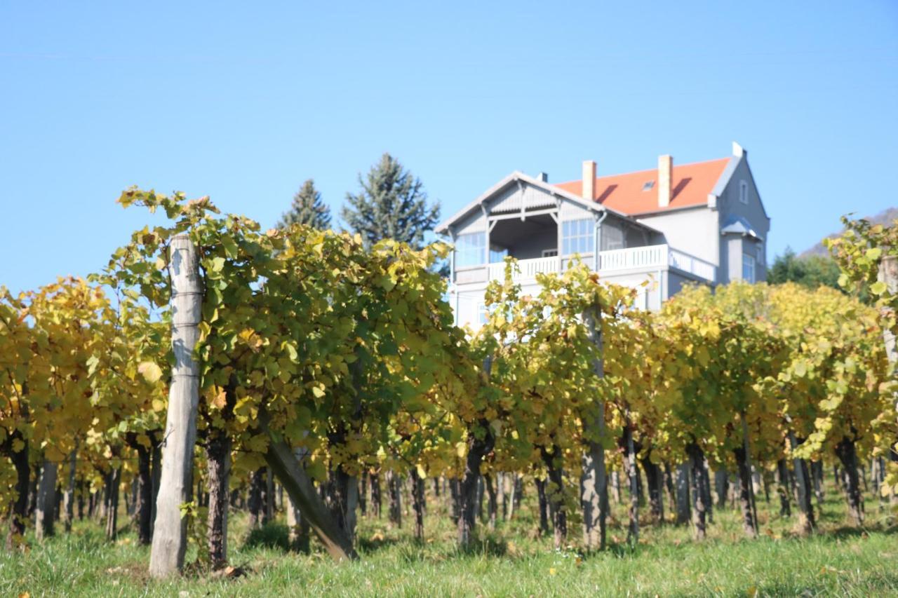 Steiner Villa Badacsony Badacsonytomaj Bagian luar foto